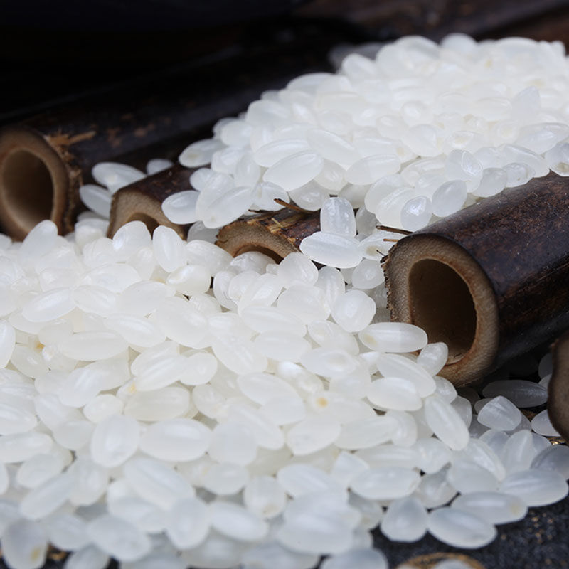黑龙江优质珍珠米